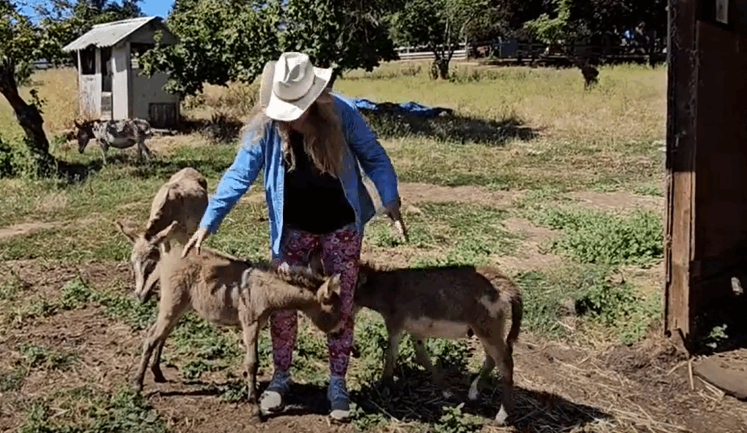 TAKE ACTION and do what you love to make you HAPPY!