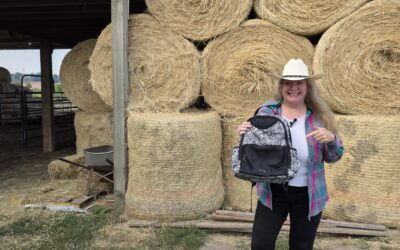 5 Fun Facts & Encouragement