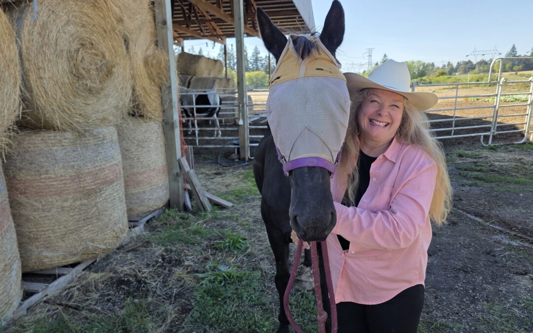 What are you choosing: Being busy, stressed, or joyful