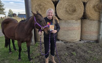 Find a Mentor & Be a Mentor