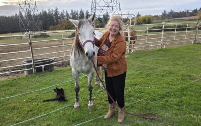 Take a Chance, Make a Change: How to Find Happiness Through Life’s Seasons