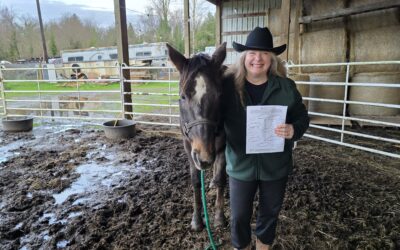 Free Printable: World of You