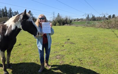 Free Printable: Spring Clean Your Life