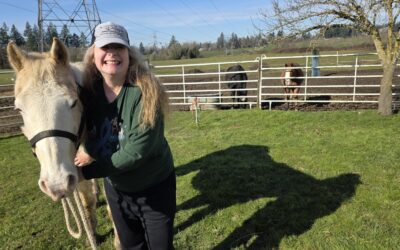 What Bamboo Can Teach You About Patience