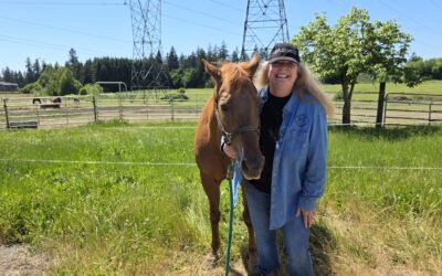 The Herd Behind the Healing: Ladybugs