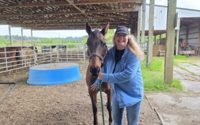 The Herd Behind the Healing: Tilly