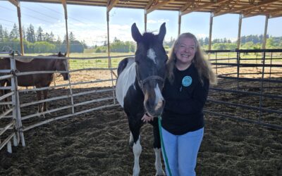 The Herd Behind the Healing: Indie