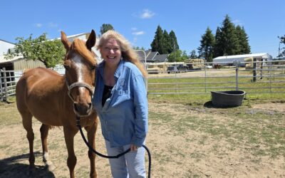 The Herd Behind the Healing: Sweet
