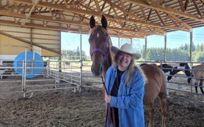 The Herd Behind the Healing: Harry Trotter