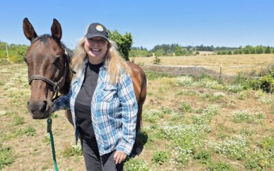 Ready for a life change? Let a Horse Help you Find your Way with One-on-One Sessions